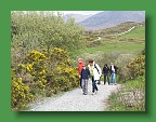 Connemara (256)